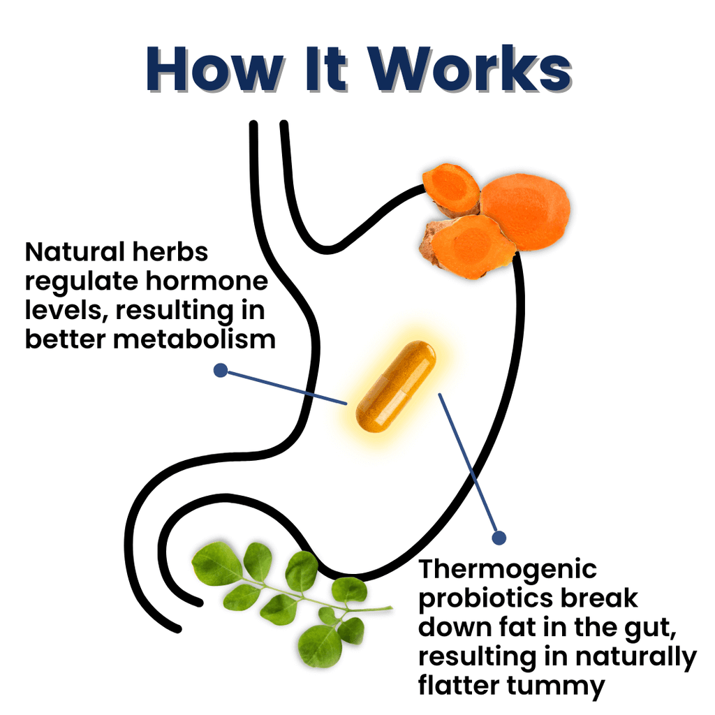 New Provitalize | Best Natural Weight Management Probiotic