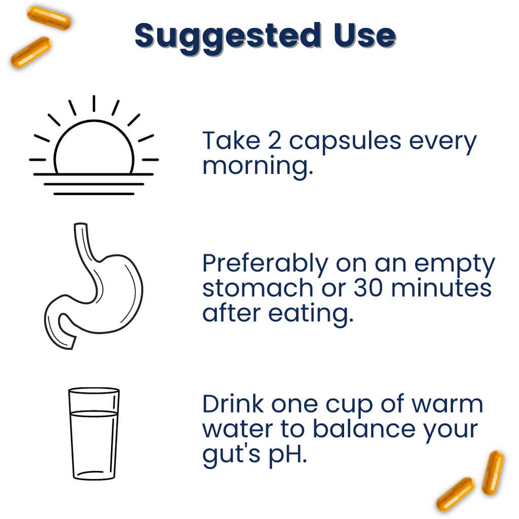 New Provitalize | Best Natural Weight Management Probiotic